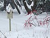 Winter in the River Garden